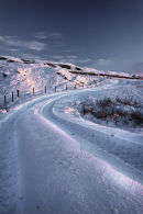 Winter 2
