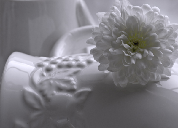 All White