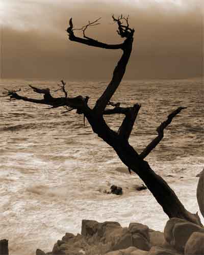 Tree Sculpture (1)