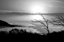 Awakening, B&W