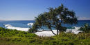 Cabarita