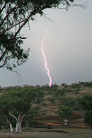 Coonabarabran