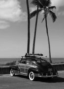 Hawaiian Woody