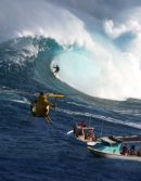 Jaws Spectators