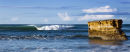 Tubed Bird Rock
