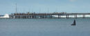 Whale and Lorne Pier