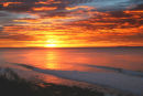 Winki Pop sunrise