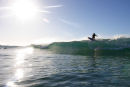 Jan Juc floater