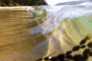 Weedy wave