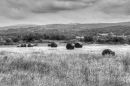 Brecon Beacons