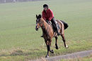 IMG7822