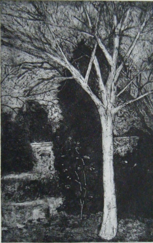 Walled garden tree
