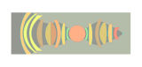 Panoramic ADS 5