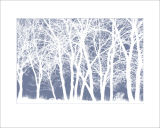 Ashes White and Blue