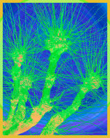 Pollarded Plane 1D4