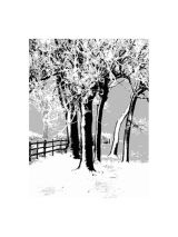 Trees near St. Giles