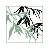 Willow Leaves 1