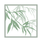 Willow Leaves 2