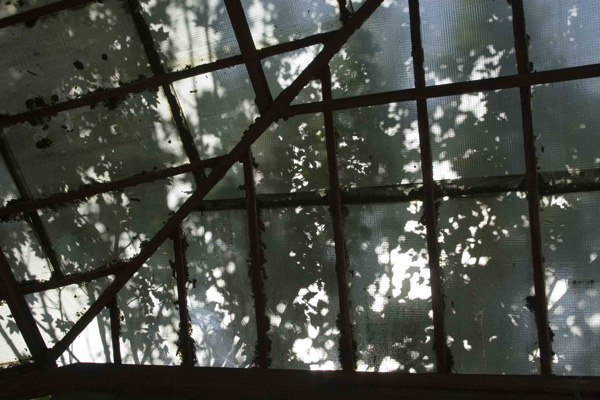 Berlin Window Series #3