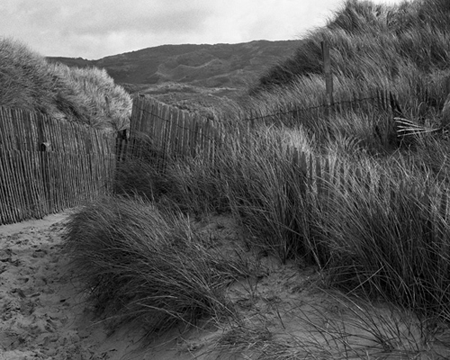 Dunes de Biville #2