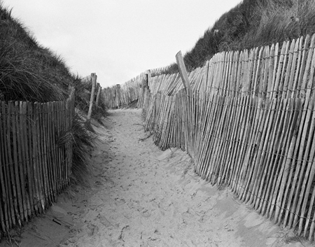 Dunes de Biville #3