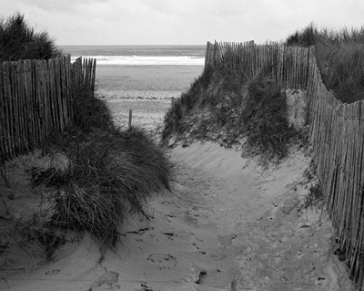 Dunes de Biville #4