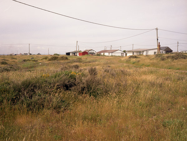 Dungeness Shingle Series #2
