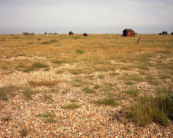 Dungeness Shingle Series #4