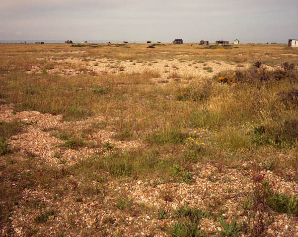 Dungeness Shingle Series #5