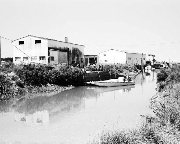 Oyster Bed Series #5