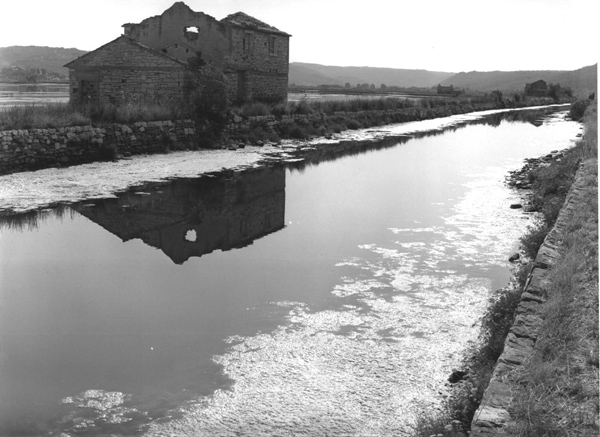 Salt Road Series #1