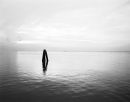 Lagoon Series #1