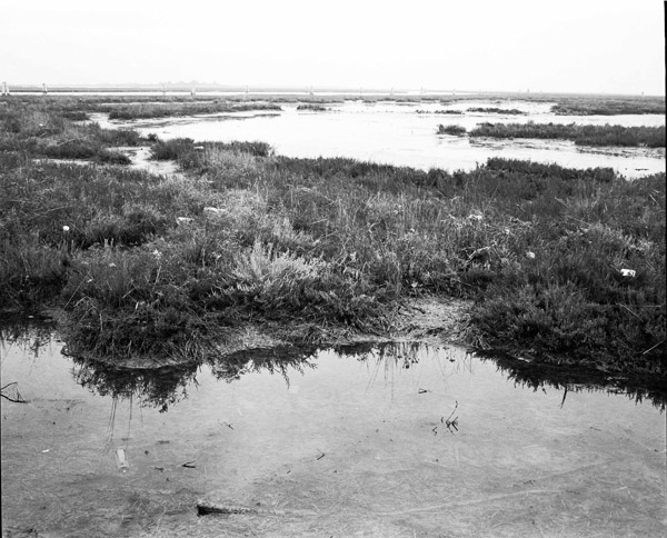 Lagoon Series #2