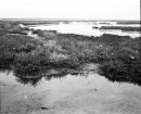 Lagoon Series #2