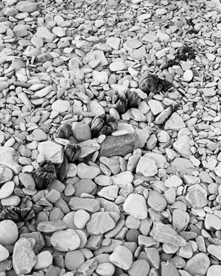 Porlock Weir Series #7