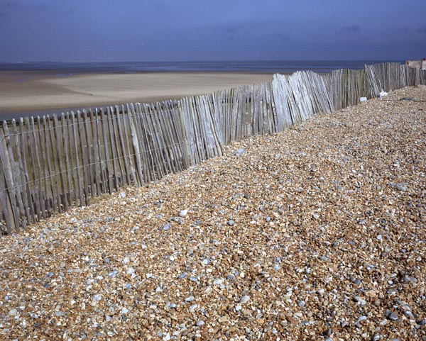 Rye Beach Series #5