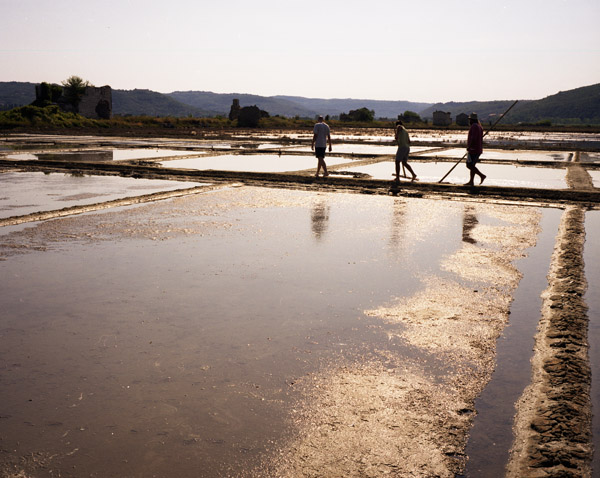 Salt Ponds Series #5