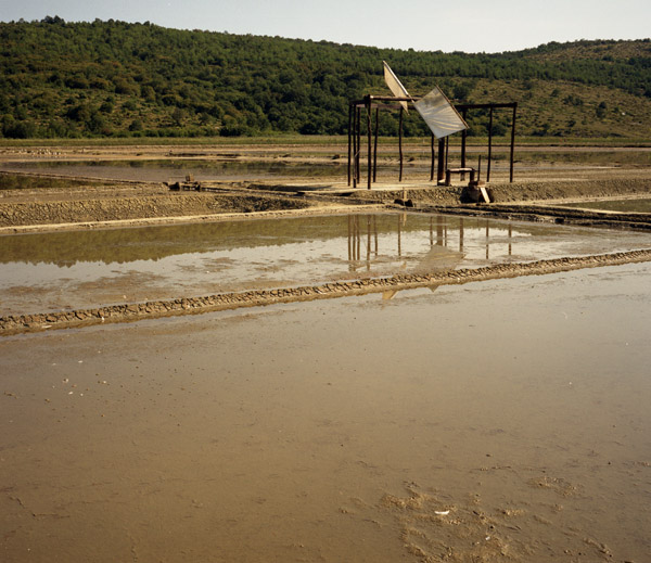 Salt Ponds and Pump #1