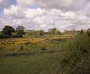 Tesco Series I #5