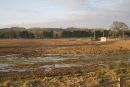 tesco Site #2