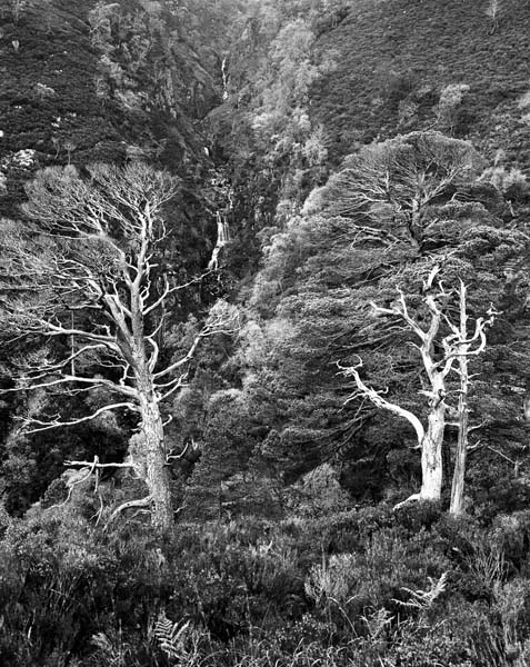 Torridon Series #7