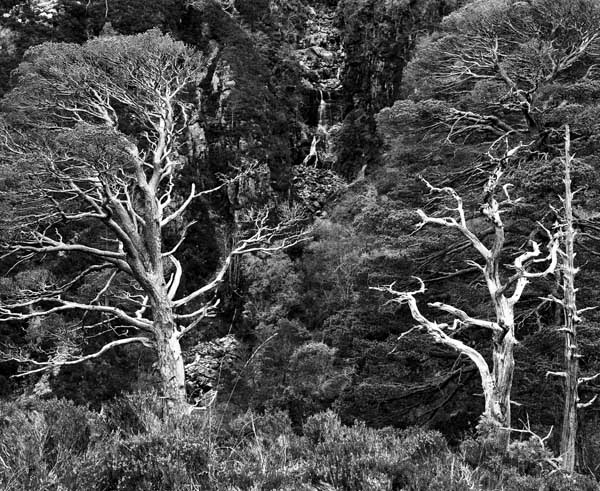 Torridon Series #9