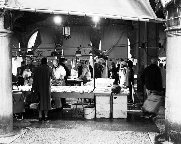 Venice Fishmarket Series #2