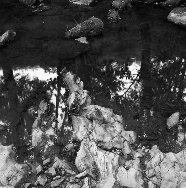 Welsh Water Series #2