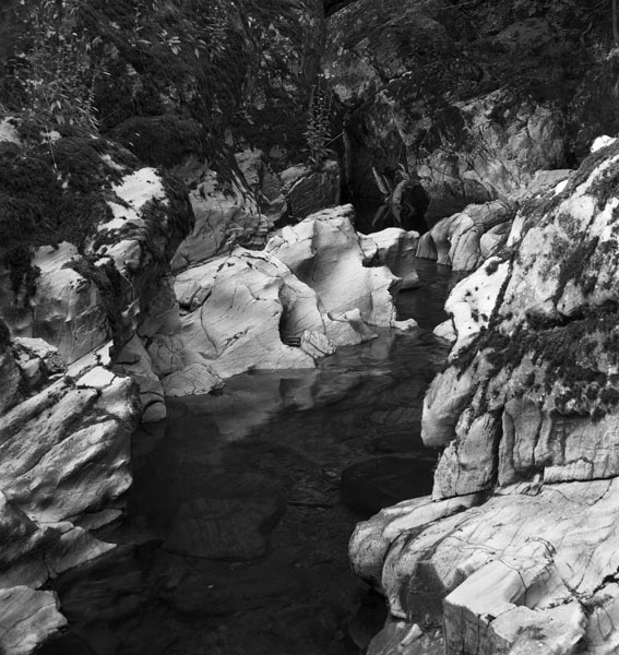Welsh Water Series #5