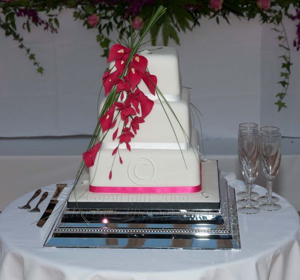 The Cake