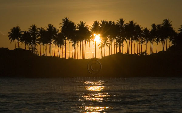 Dominican Sunrise