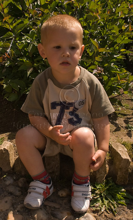 Kurtis