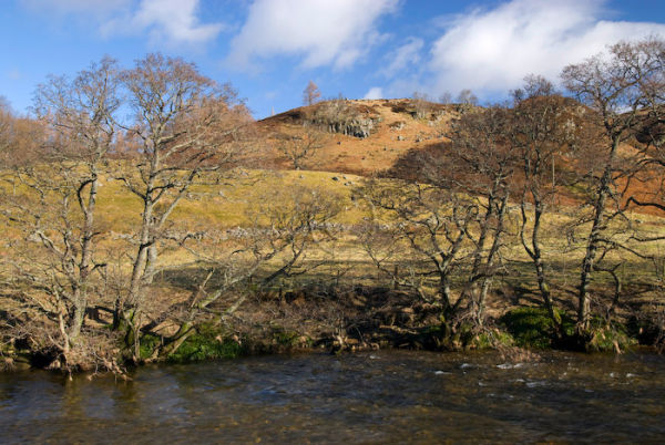 Nr Newton Bridge