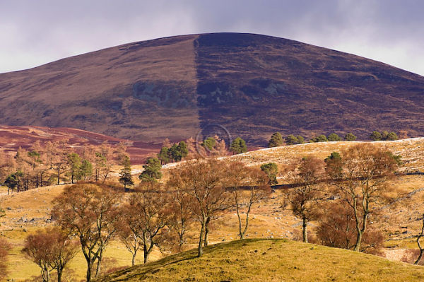 Scottish Landscape 2